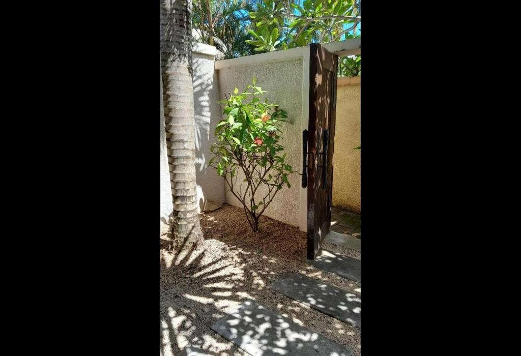 Oasis 1 Tropicale Grand Baie