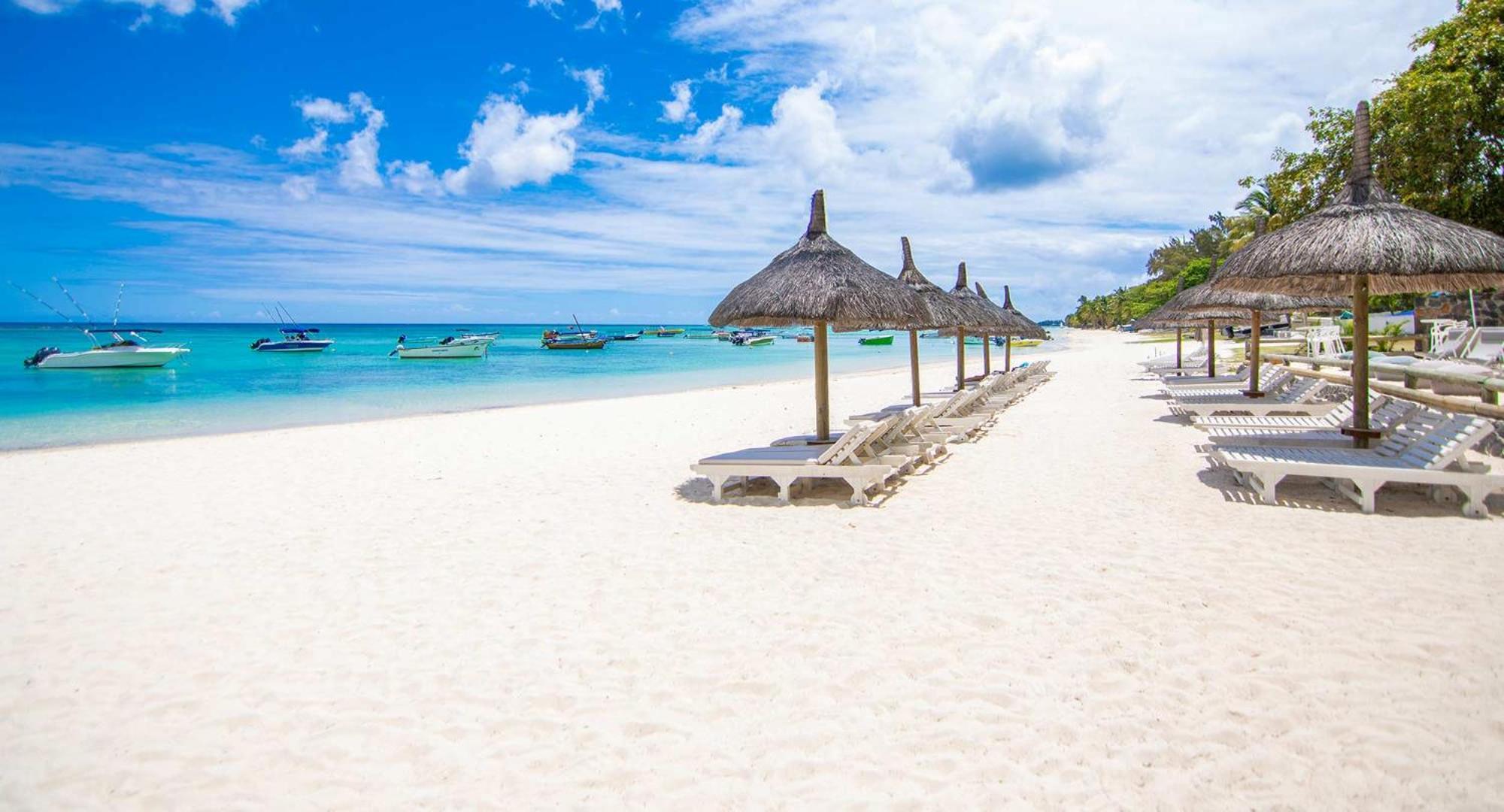 Oasis 1 Tropicale فيلة