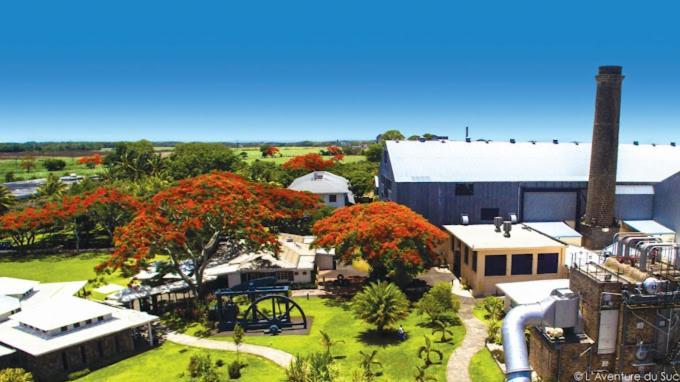 Oasis 1 Tropicale * Grand Baie