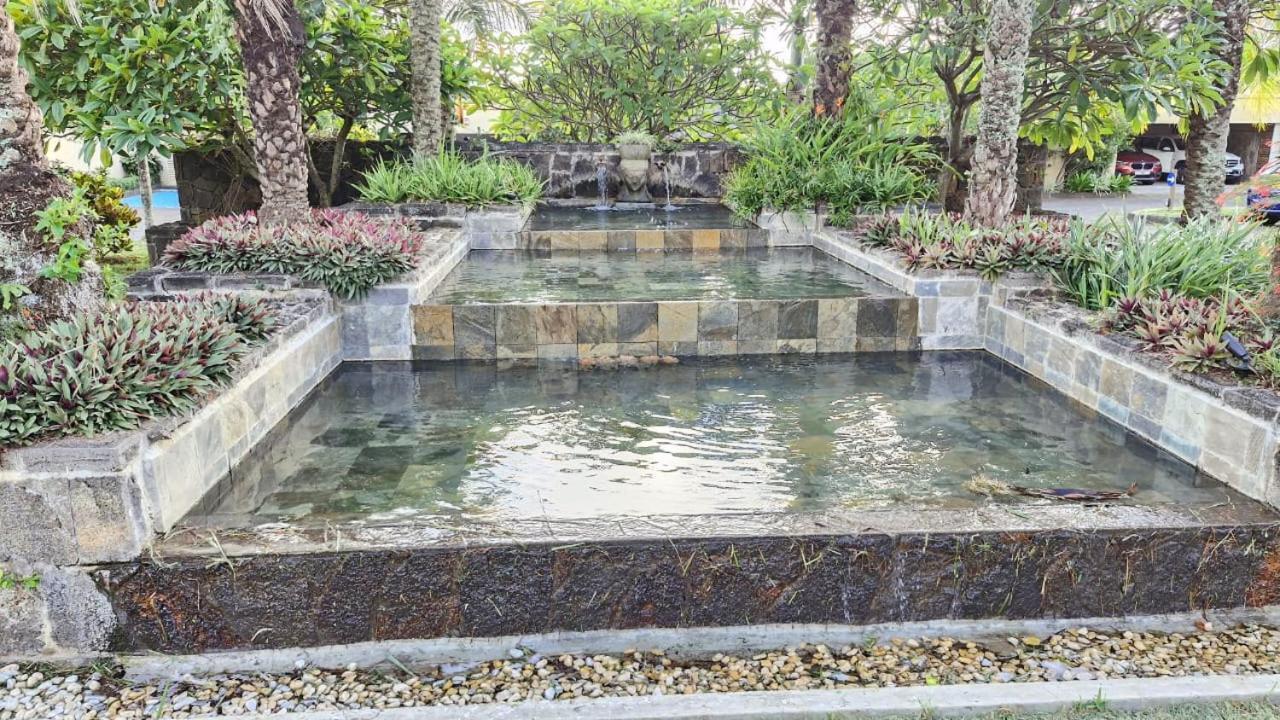 Oasis 1 Tropicale *