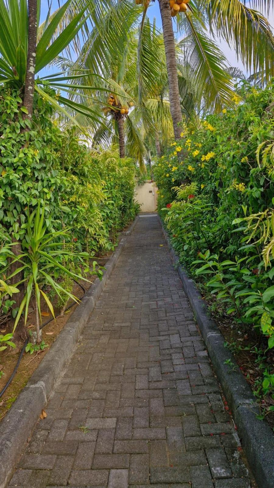 Oasis 1 Tropicale Villa Grand Baie